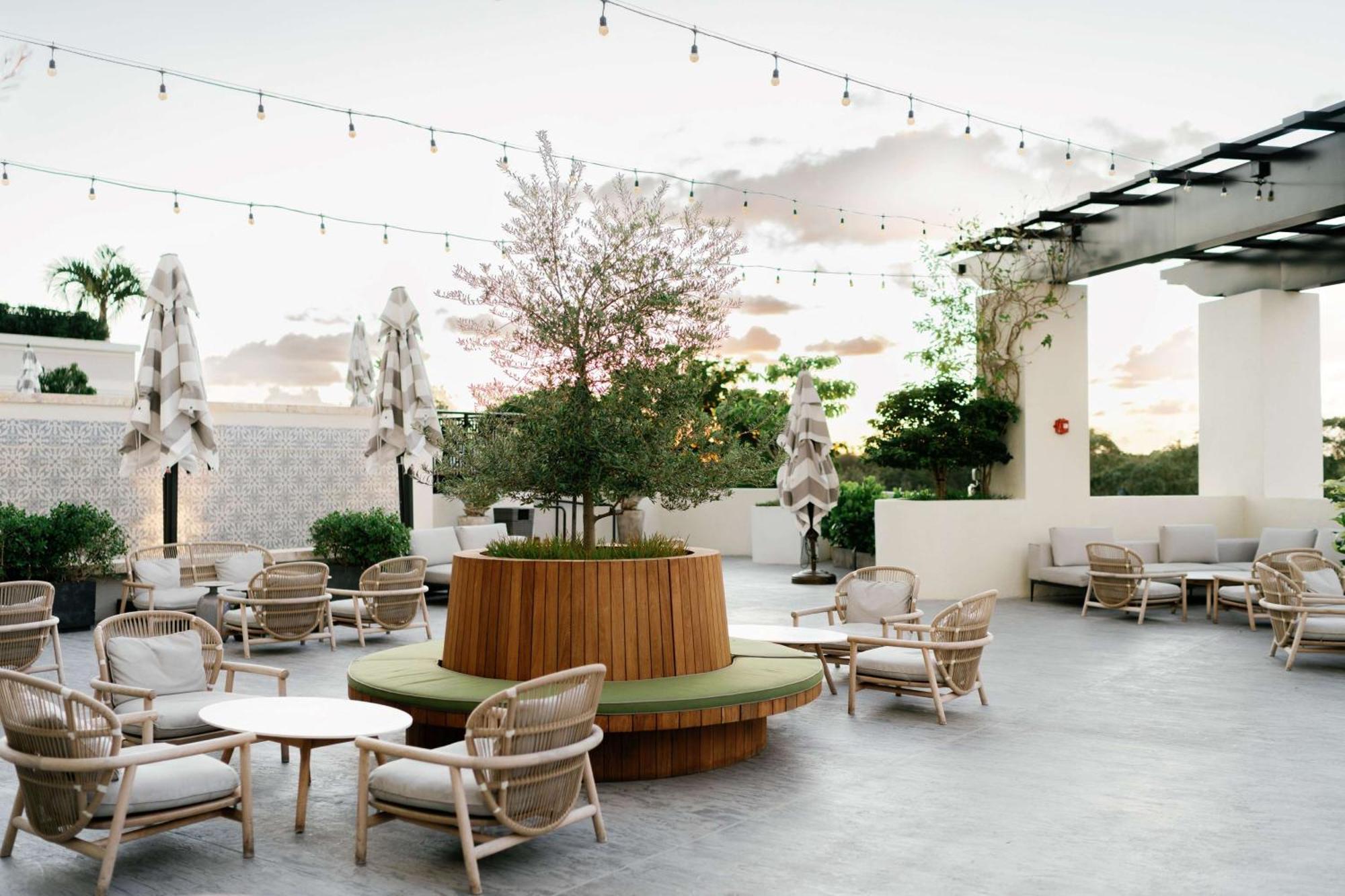Thesis Hotel Miami Coral Gables, Curio Collection By Hilton Екстериор снимка